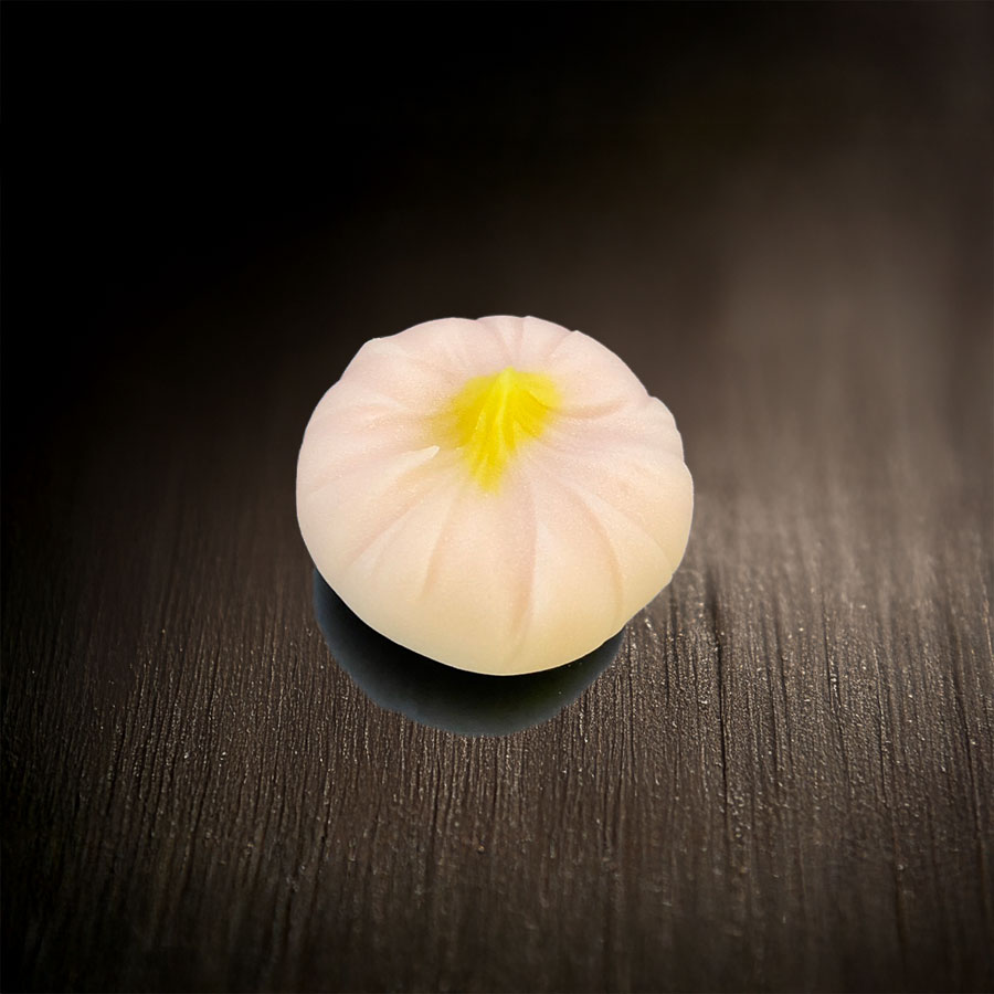八重咲菊