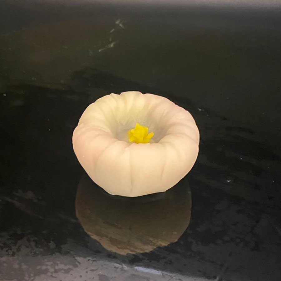 昼顔