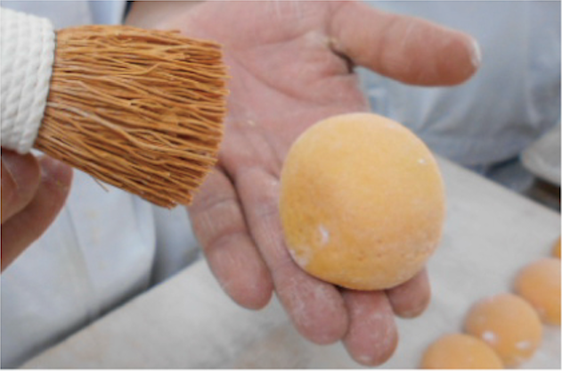 果実を観察する様子2